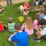 Roundup of FFA news for June 1, 2023 Northwestern FFA