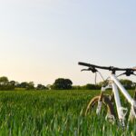 Pride comes before the fall bicycle in a field