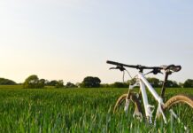 Pride comes before the fall bicycle in a field