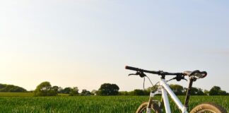 Pride comes before the fall bicycle in a field