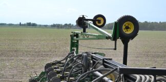 Have the grain markets bottomed out? soybean planting