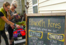 Ellsworth Acres helps women recovering from addiction, through agriculture Two women stand next to table full of plants with sign in the foreground that says Ellsworth Acres