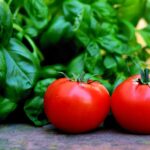 tomatoes and basil