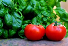 How to choose the best companion plants for herbs tomatoes and basil