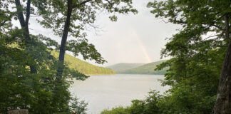 Allegheny National Forest