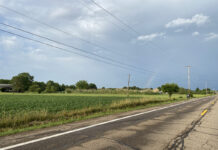 Grain prices impacted by rain, but what about crops? rainbow over cornfield