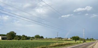 Grain prices impacted by rain, but what about crops? rainbow over cornfield
