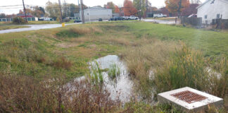 Lack of rain? Time to maintain! Stormwater Basin