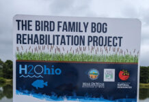 Wetland saved by H2Ohio in Portage County Bird Family Bog Rehabilitation Project