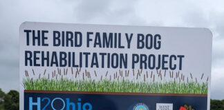 Bird Family Bog Rehabilitation Project