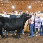 2023 Harrison County Fair sale results