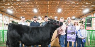 2023 Harrison County Fair sale results
