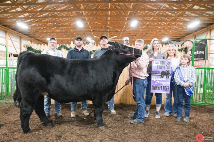 2023 grand steer