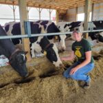 Emily Mullen ushers family dairy farm into future by bottling milk Emily Mullen, wearing a green shirt and blue jeans, kneels next to her dairy cows in a free stall barn for a photo.