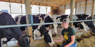 Emily Mullen, wearing a green shirt and blue jeans, kneels next to her dairy cows in a free stall barn for a photo.