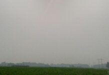 Paved with… soap? hazy fields