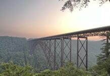 West Virginia State Wildlife Center reopens The New River Gorge Bridge