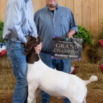 Grand Champion Market Goat 2023