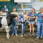 2023 Grand Champion DBF