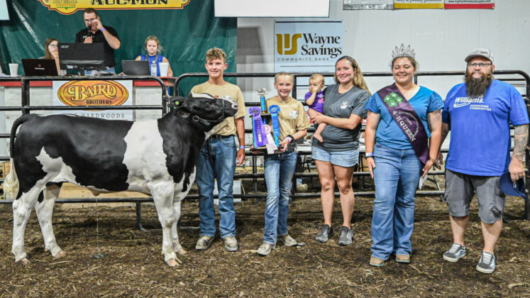 2023 Grand Champion DBF