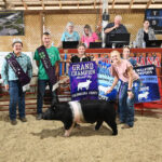 2023 Grand Champion Market Hog