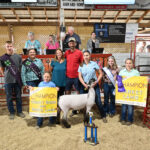 2023 Grand Champion Market Lamb
