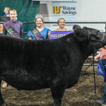 2023 Grand Champion Market Steer