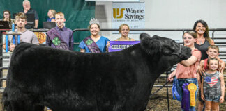2023 Columbiana County Fair sale 2023 Grand Champion Market Steer