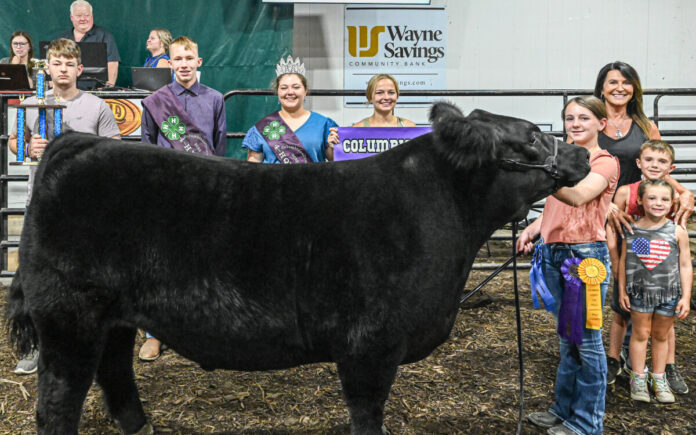 2023 Grand Champion Market Steer
