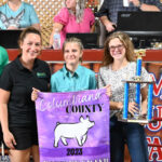 2023 Reserve Champion Carcass Hog