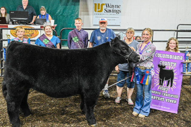 2023 Reserve Champion Market Steer