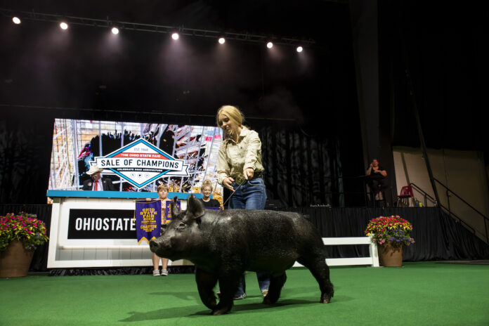 a girl walks a pig on a stage