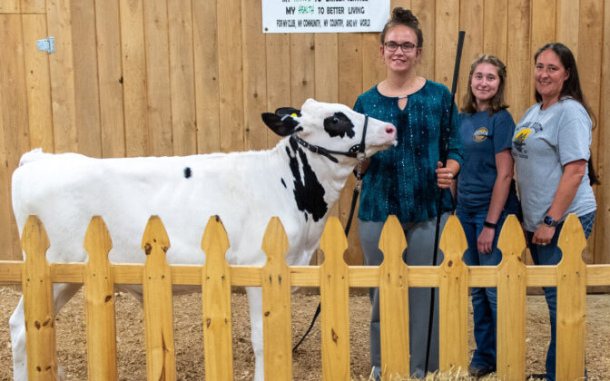 Reserve Grand Champion Dairy Beef 2023