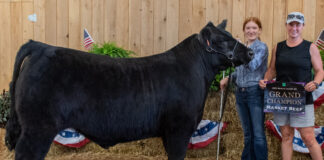 2023 Mercer County Fair sale Grand Champion Market Beef 2023