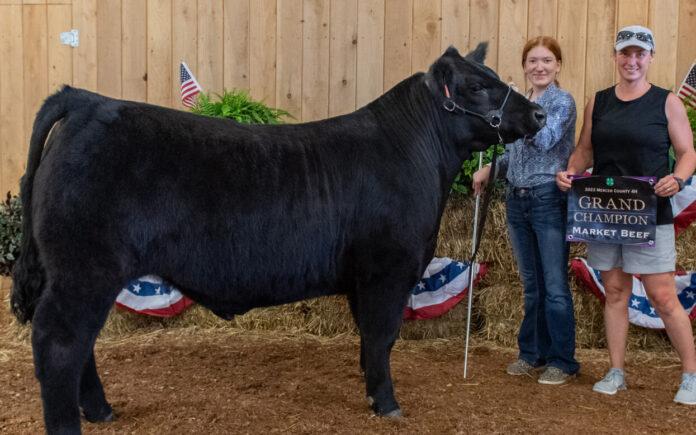 Grand Champion Market Beef 2023 Grand Champion Market Beef 2023