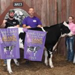 Grand Champion Dairy Beef Feeder