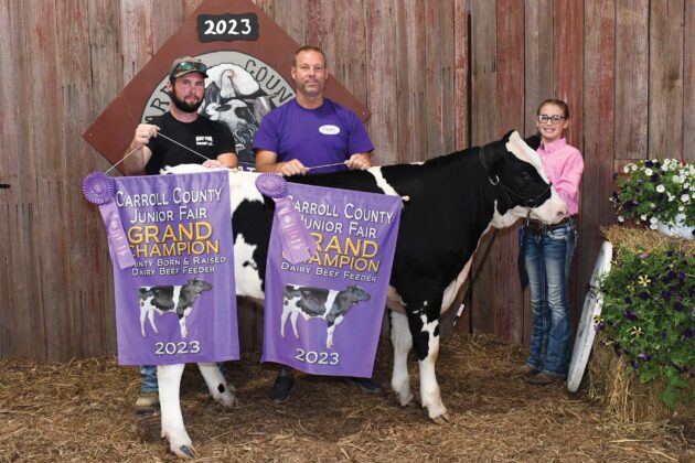 Grand Champion Dairy Beef Feeder
