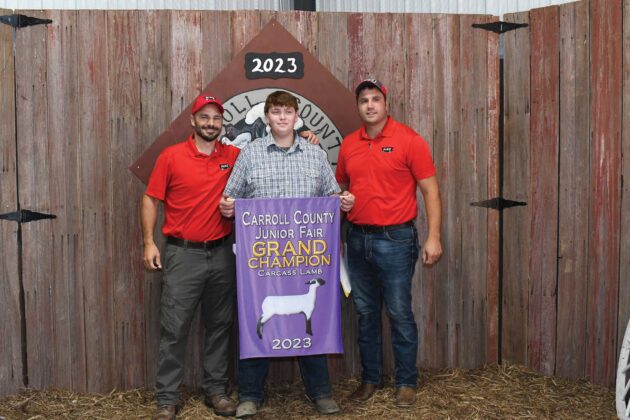 Grand Champion Carcass Lamb