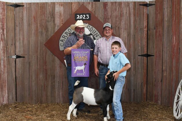 Grand Champion Market Goat