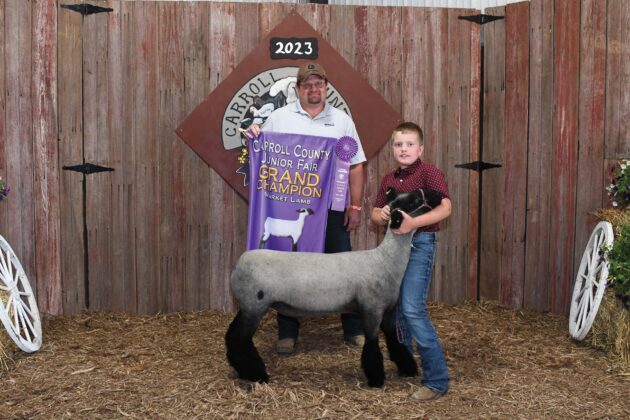 Grand Champion Lamb