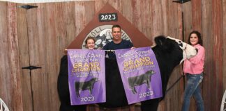 Grand Champion Steer