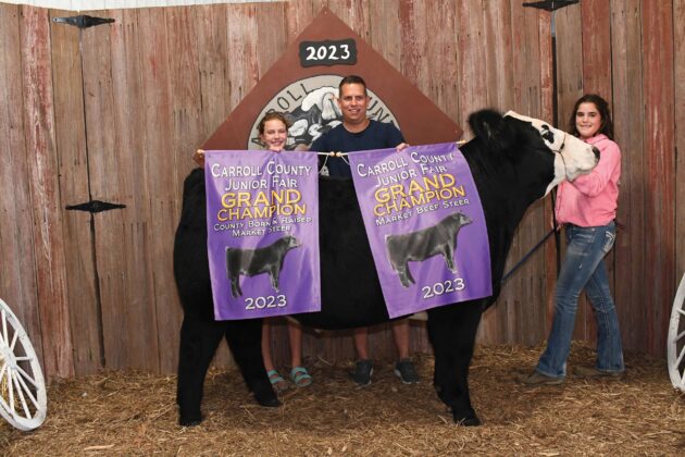 Grand Champion Steer