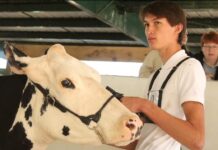 Dairy scholarships awarded to two Pennsylvania students Isaac Dechow