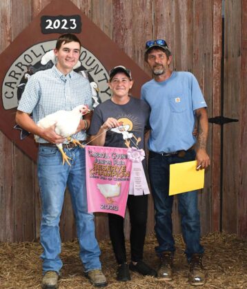 Reserve Champion Chickens
