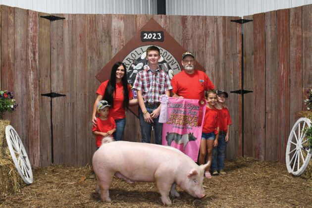 Reserve Champion Hog
