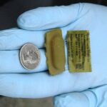 USDA continues work on rabies prevention ONRAB bait