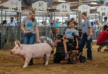 Pig show at Ohio State Fair offers show-ring experience to disabled youth Maddie and Miley Caldwell mentor Joel Buyer