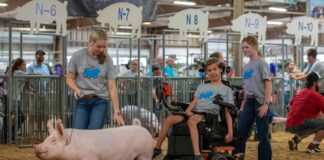 Pig show at Ohio State Fair offers show-ring experience to disabled youth Maddie and Miley Caldwell mentor Joel Buyer