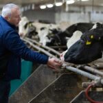 Curbing cow belches in the name of climate change mitigation Researcher Alex Hristov