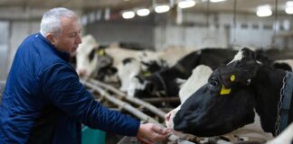 Researcher Alex Hristov